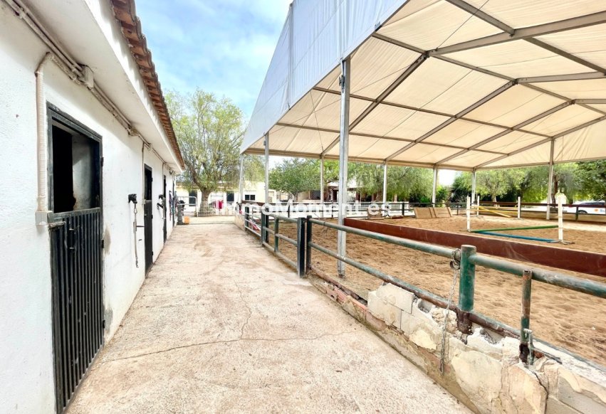 Reventa - Casa de campo - Orihuela - Orihuela Centro