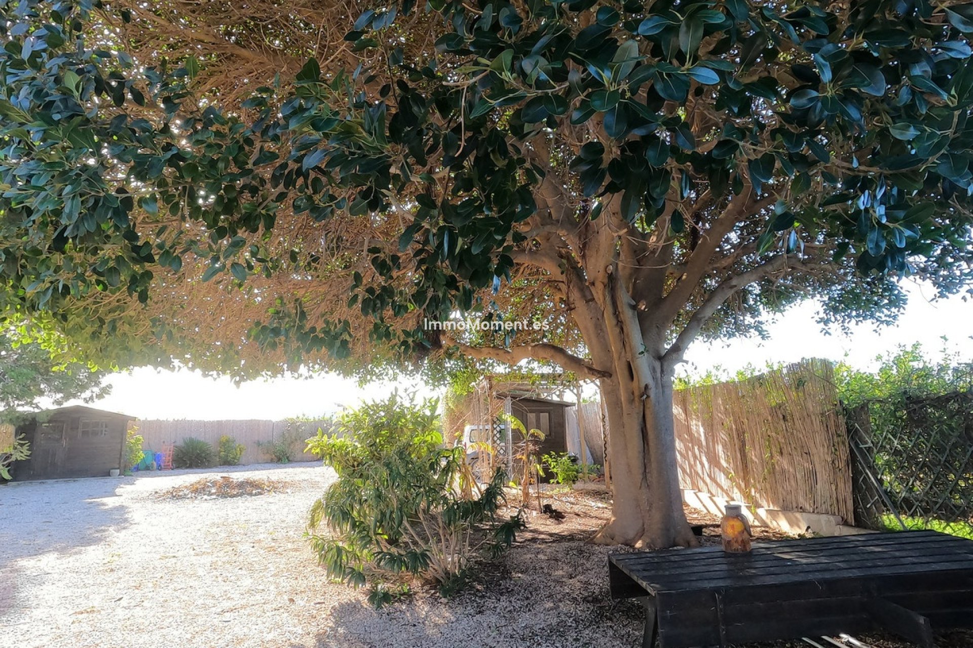 Reventa - Casa de campo - Orihuela - Orihuela Centro