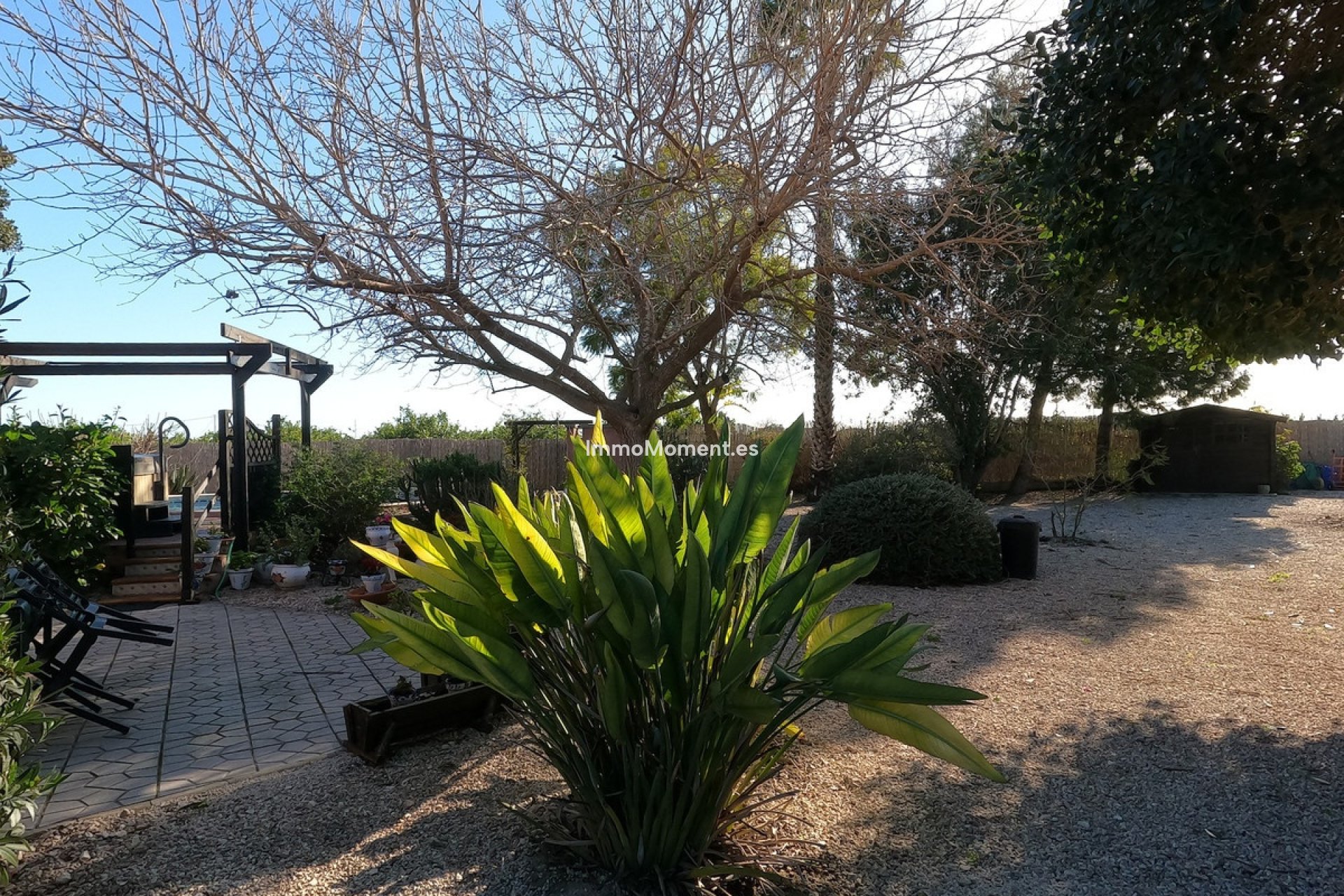 Reventa - Casa de campo - Orihuela - Orihuela Centro