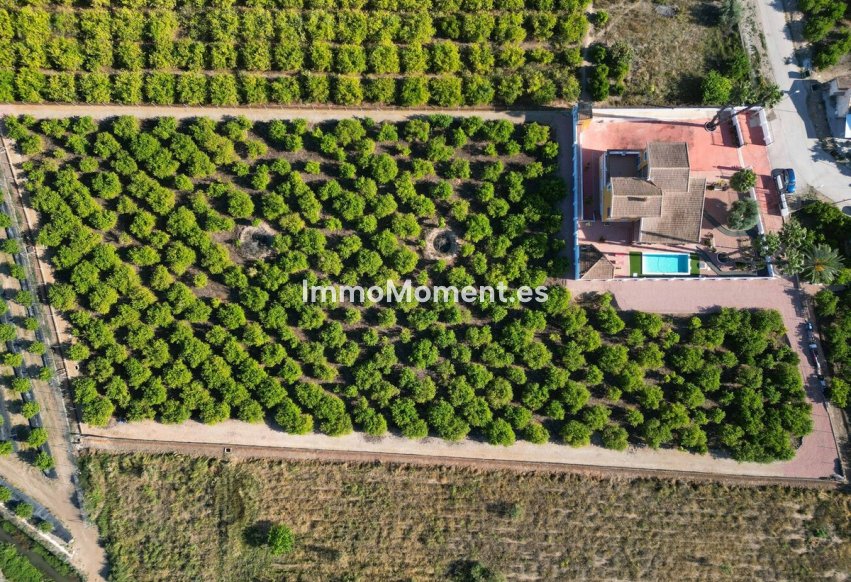Reventa - Casa de campo - Orihuela - Orihuela Centro