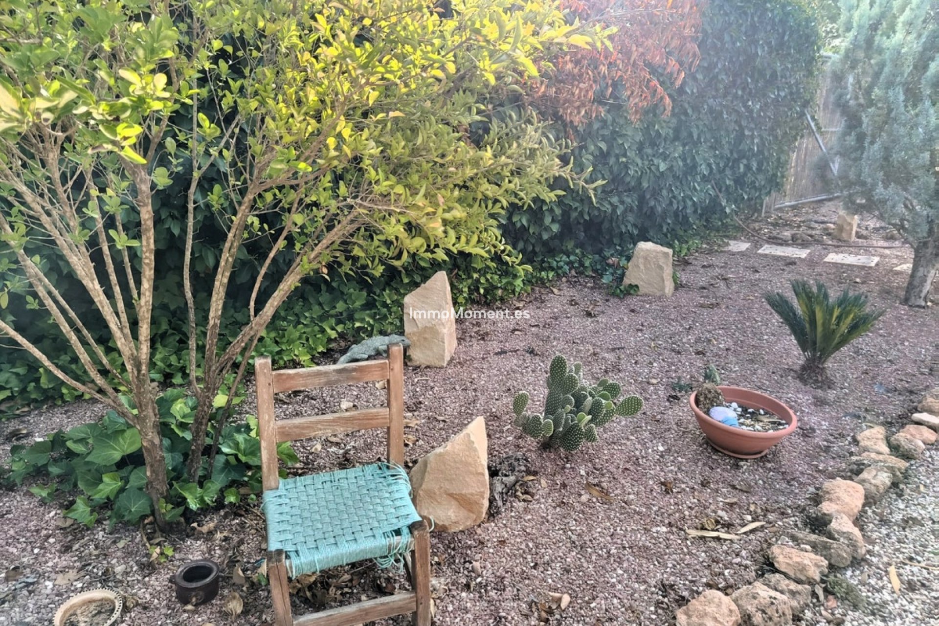Reventa - Casa de campo - Pinoso - Pinoso Centro