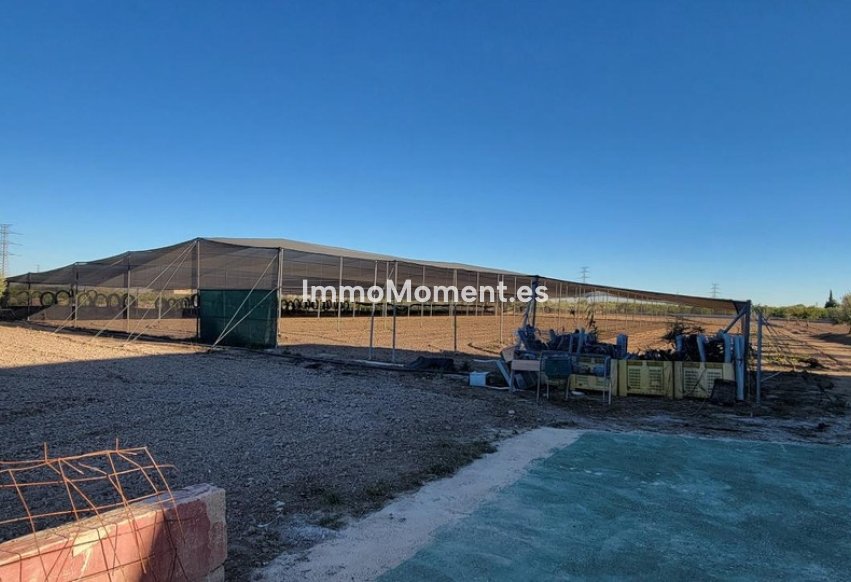 Reventa - Casa de campo - San Miguel de Salinas - San Miguel de Salinas Centro