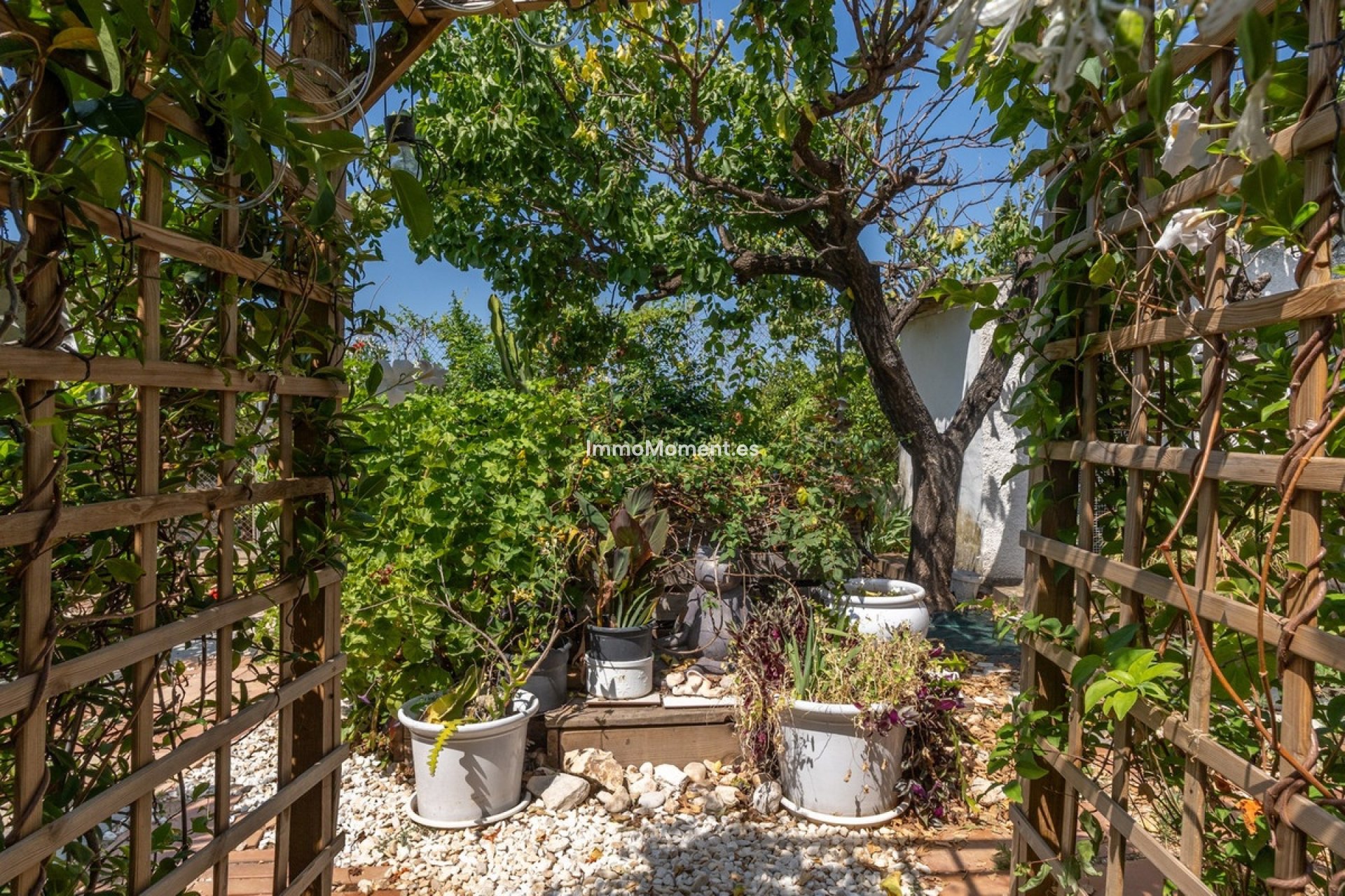 Reventa - Casa de campo - Vergel - Vergel (El Vergel) - El Verger Centro