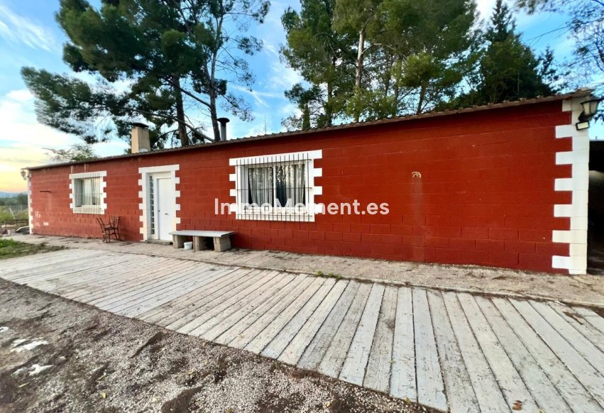 Reventa - Casa de campo - Yecla - Yecla Centro