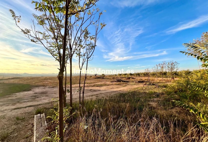 Reventa - Casa de campo - Yecla - Yecla Centro