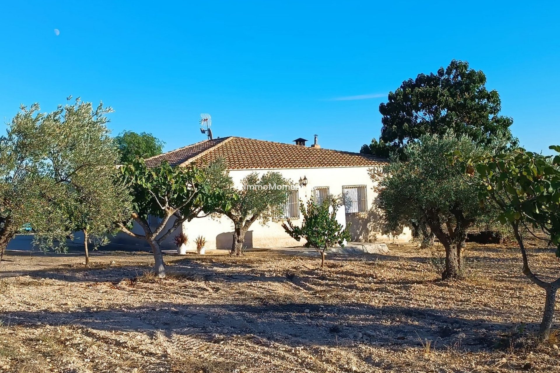Reventa - Casa de campo - Yecla - Yecla Centro