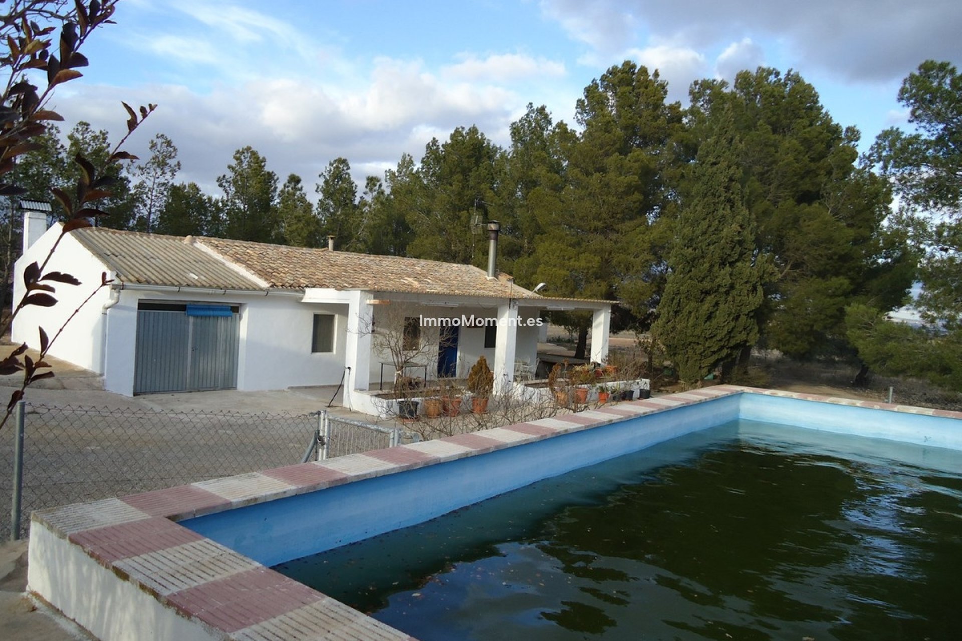 Reventa - Casa de campo - Yecla - Yecla Centro