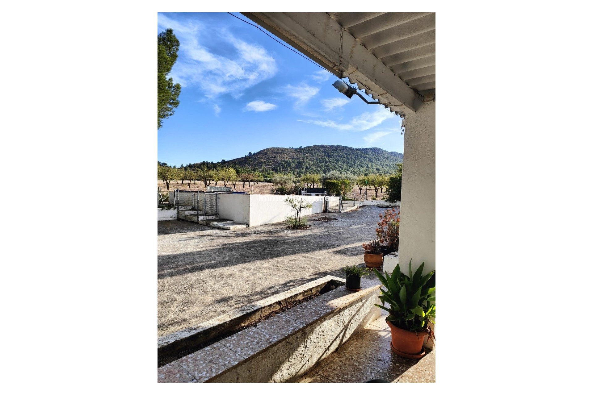 Reventa - Casa de campo - Yecla - Yecla Centro