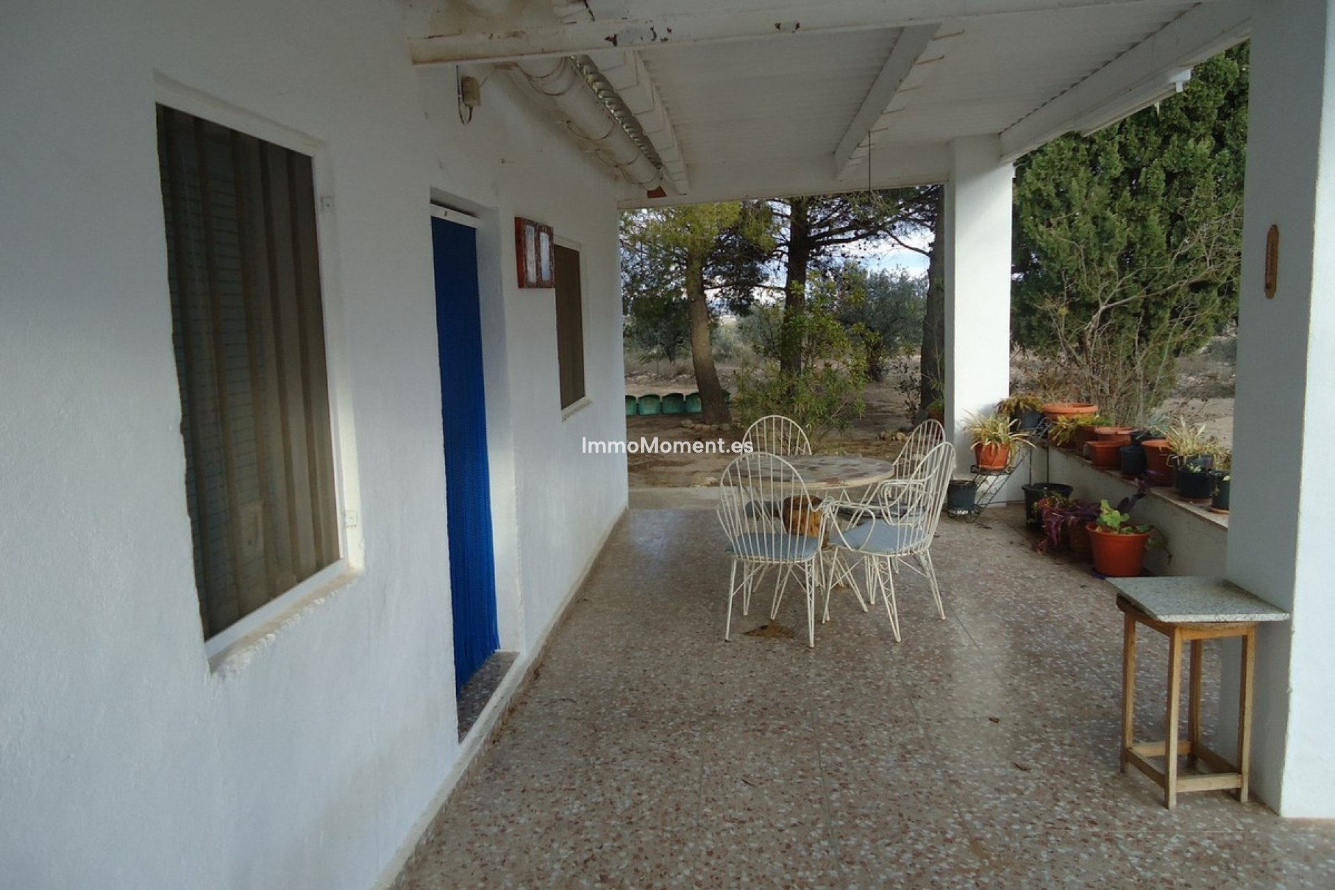 Reventa - Casa de campo - Yecla - Yecla Centro