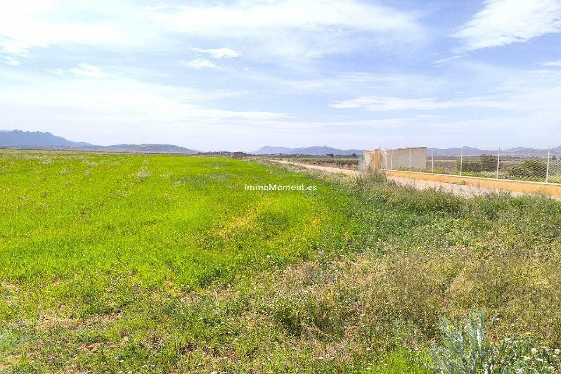 Reventa - Casa de campo - Yecla - Yecla Centro