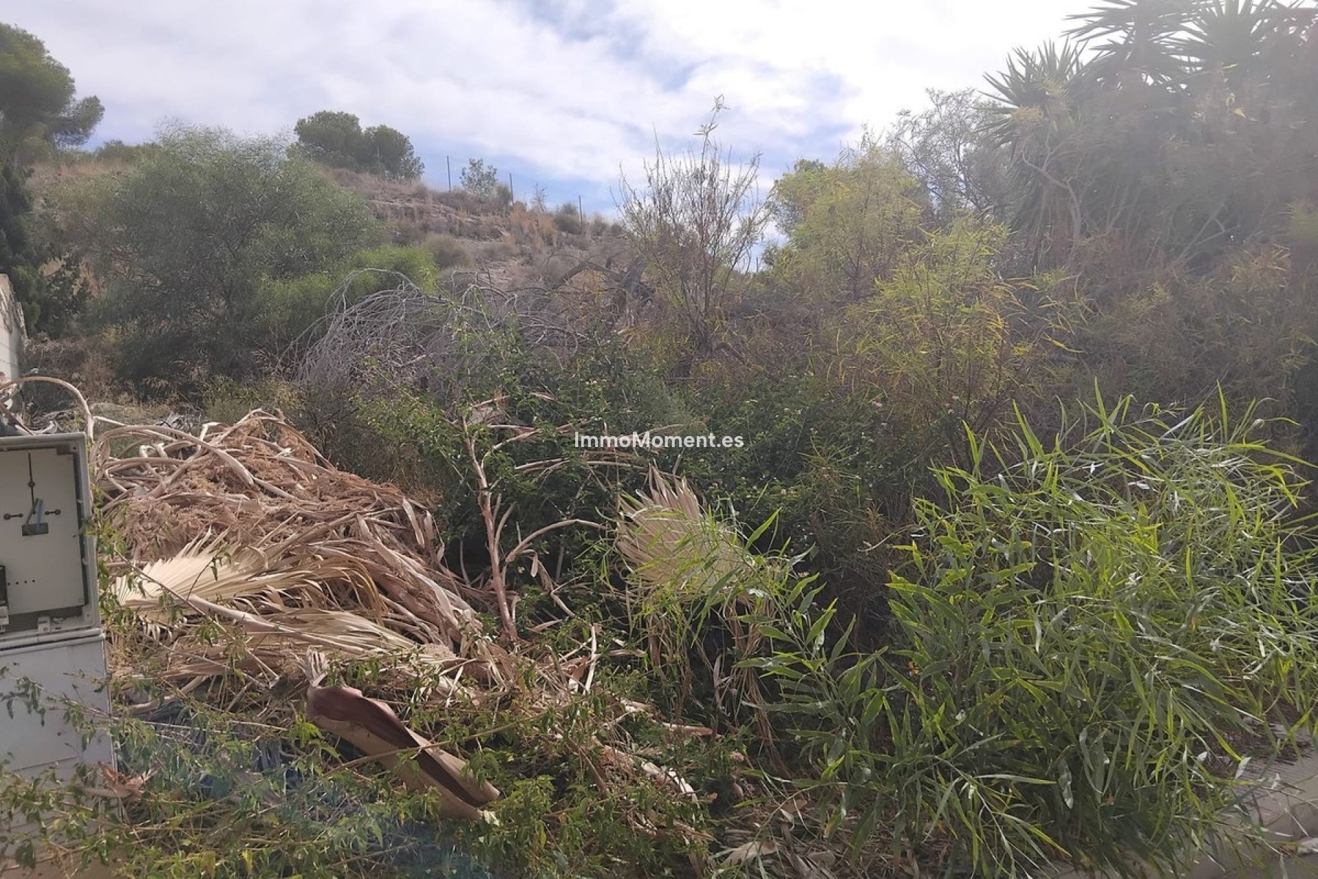Reventa - Parcela - Algorfa - Algorfa Centro