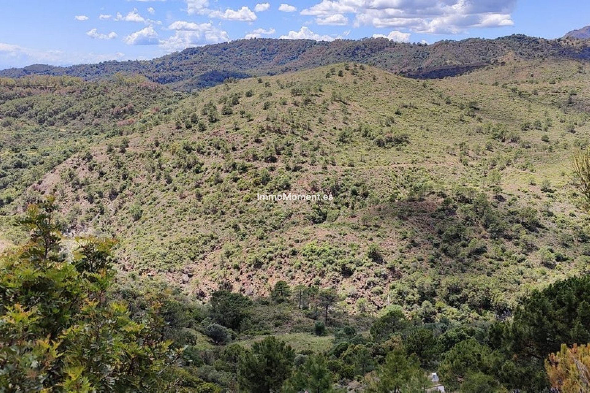 Reventa - Parcela - Benahavís - Benahavís Centro