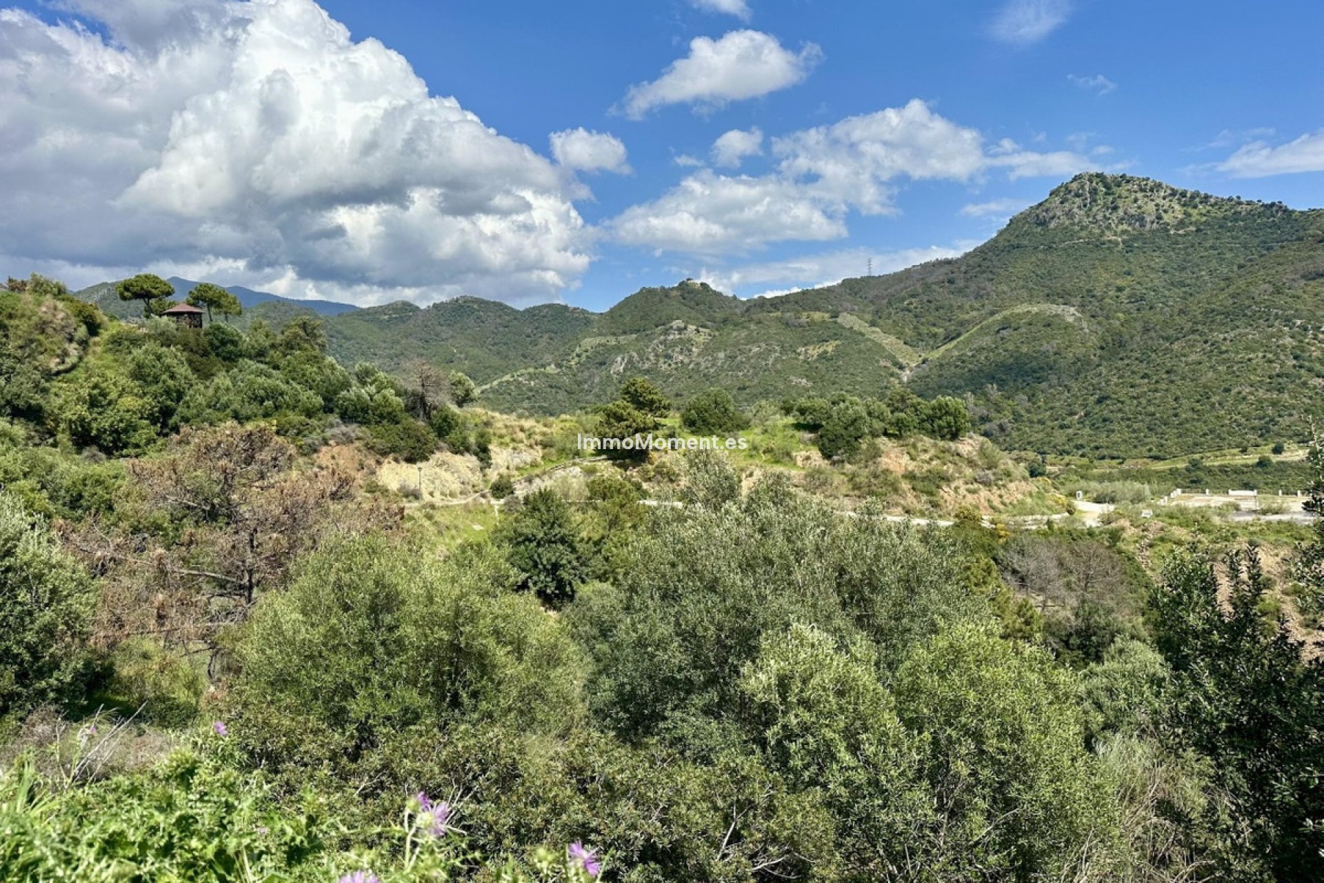 Reventa - Parcela - Benahavís - Benahavís Centro