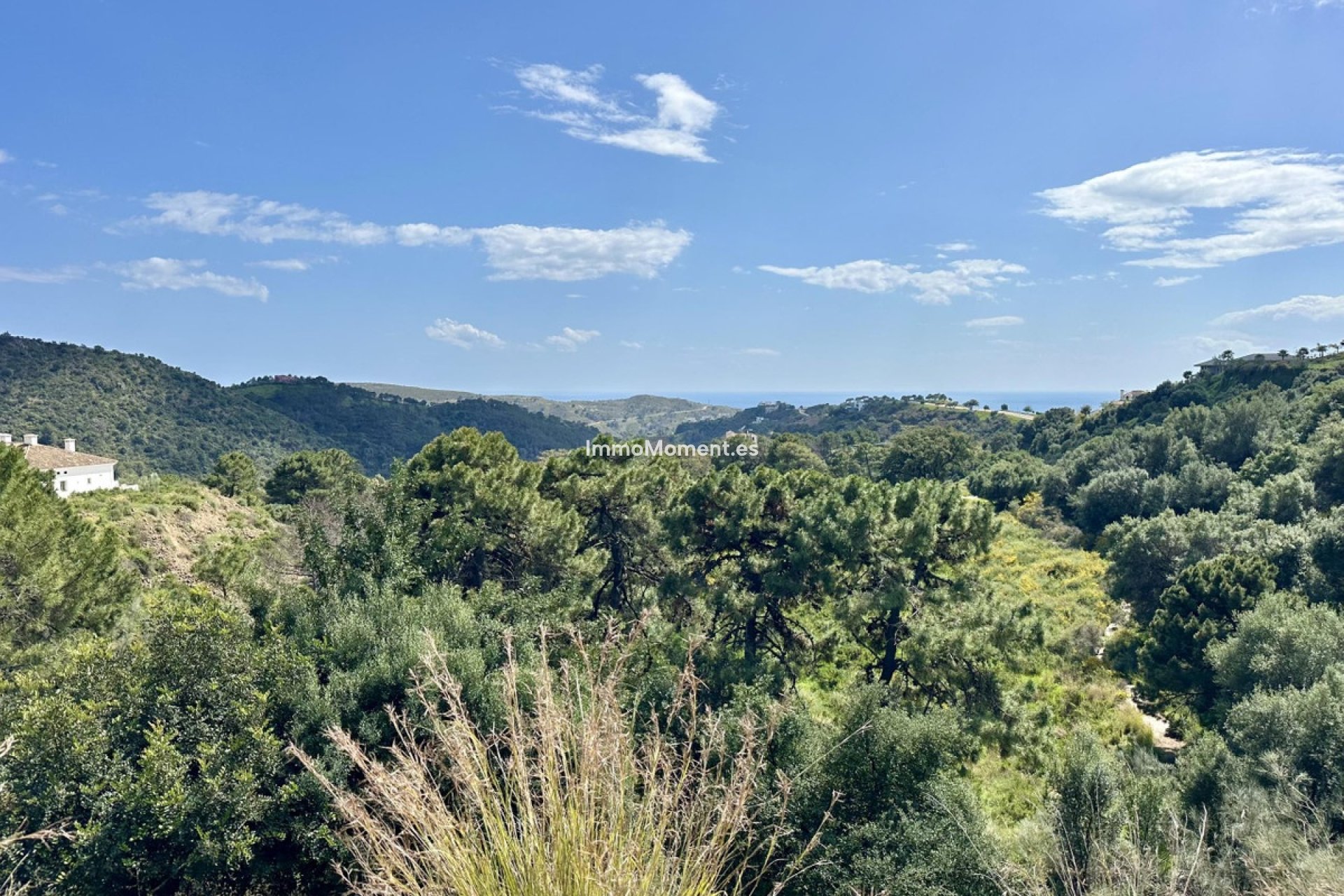 Reventa - Parcela - Benahavís - Benahavís Centro