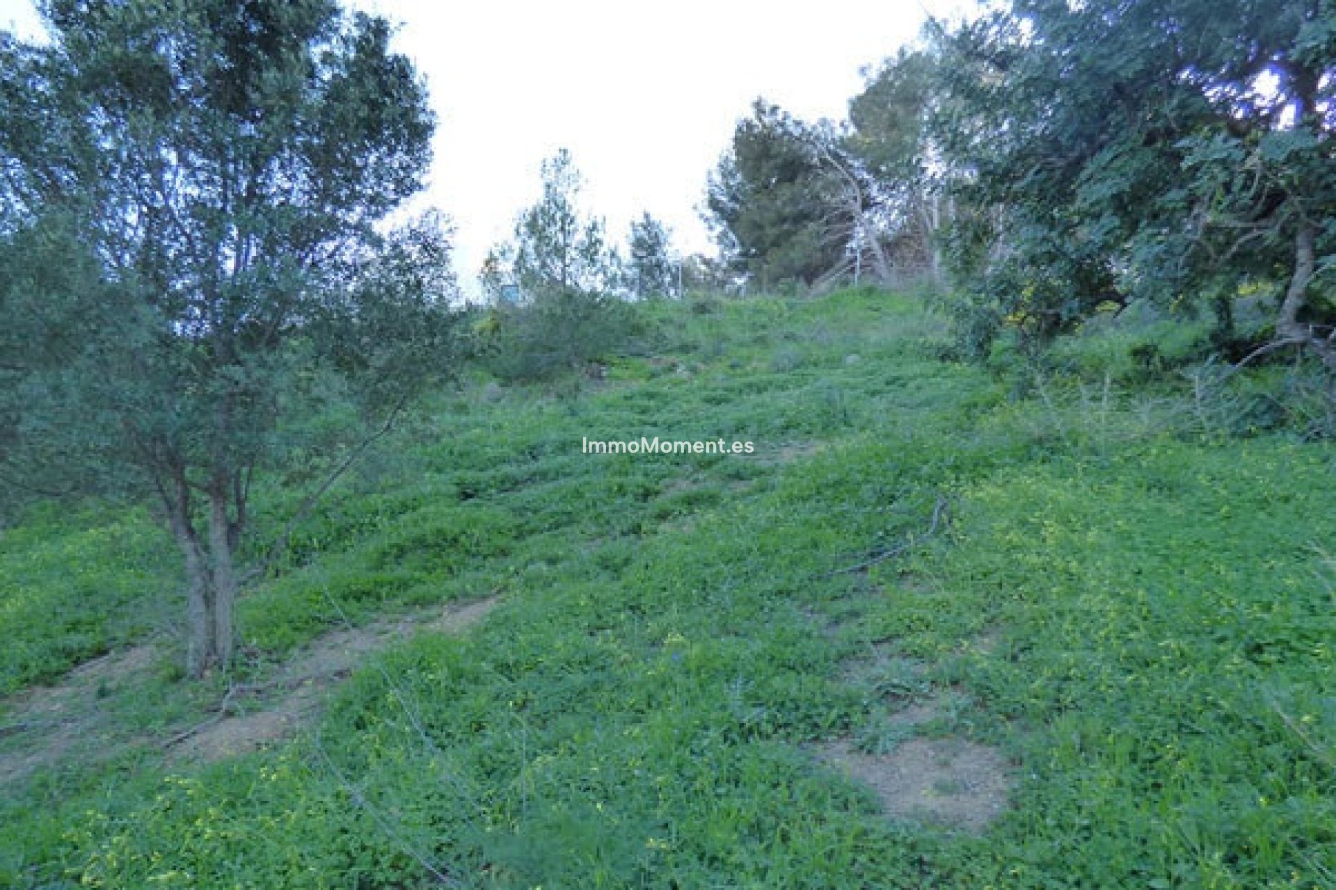 Reventa - Parcela - Benalmadena - Benalmadena Pueblo