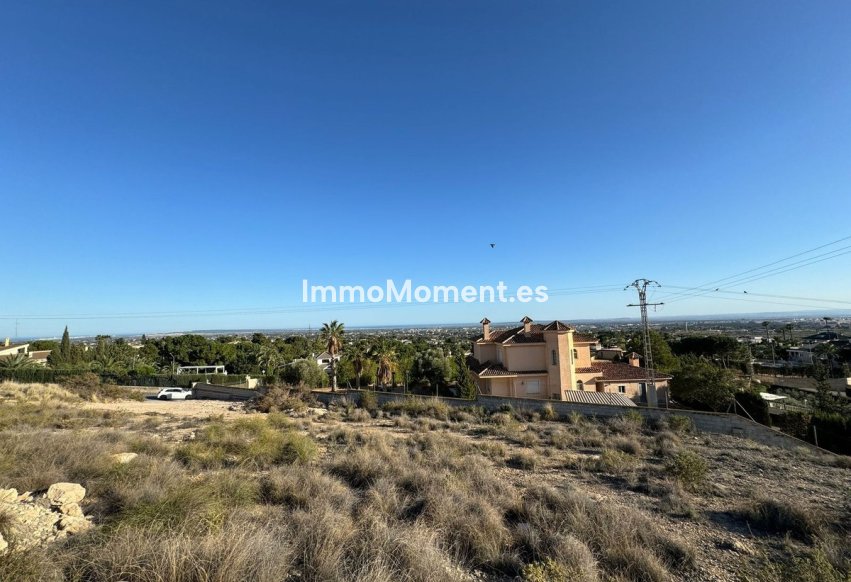 Reventa - Parcela - Elche - Elche Centro