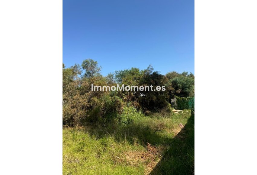 Reventa - Parcela - Estepona  - Atalaya