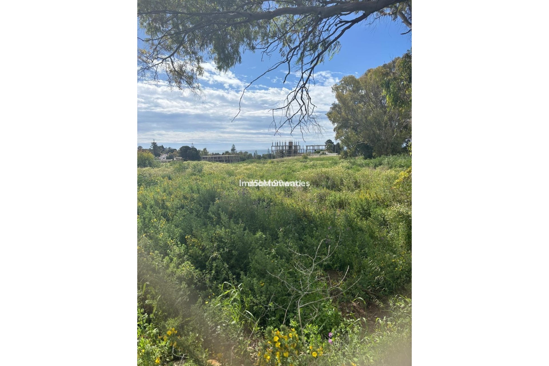 Reventa - Parcela - Estepona  - Estepona Centro