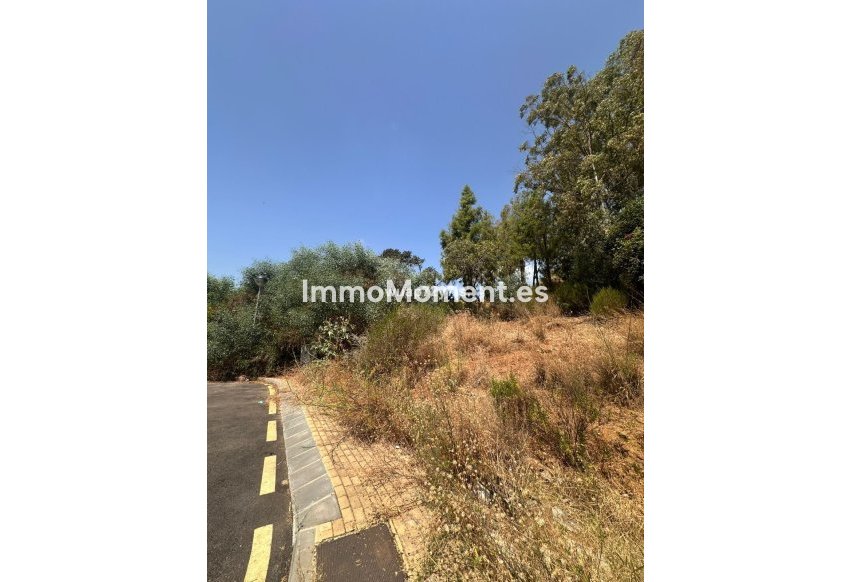 Reventa - Parcela - Estepona  - Estepona Centro