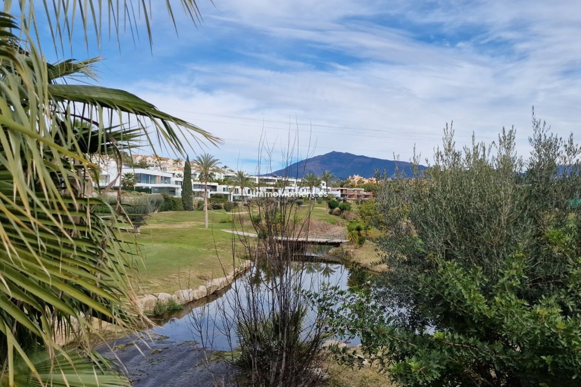 Reventa - Parcela - Estepona  - Estepona Centro