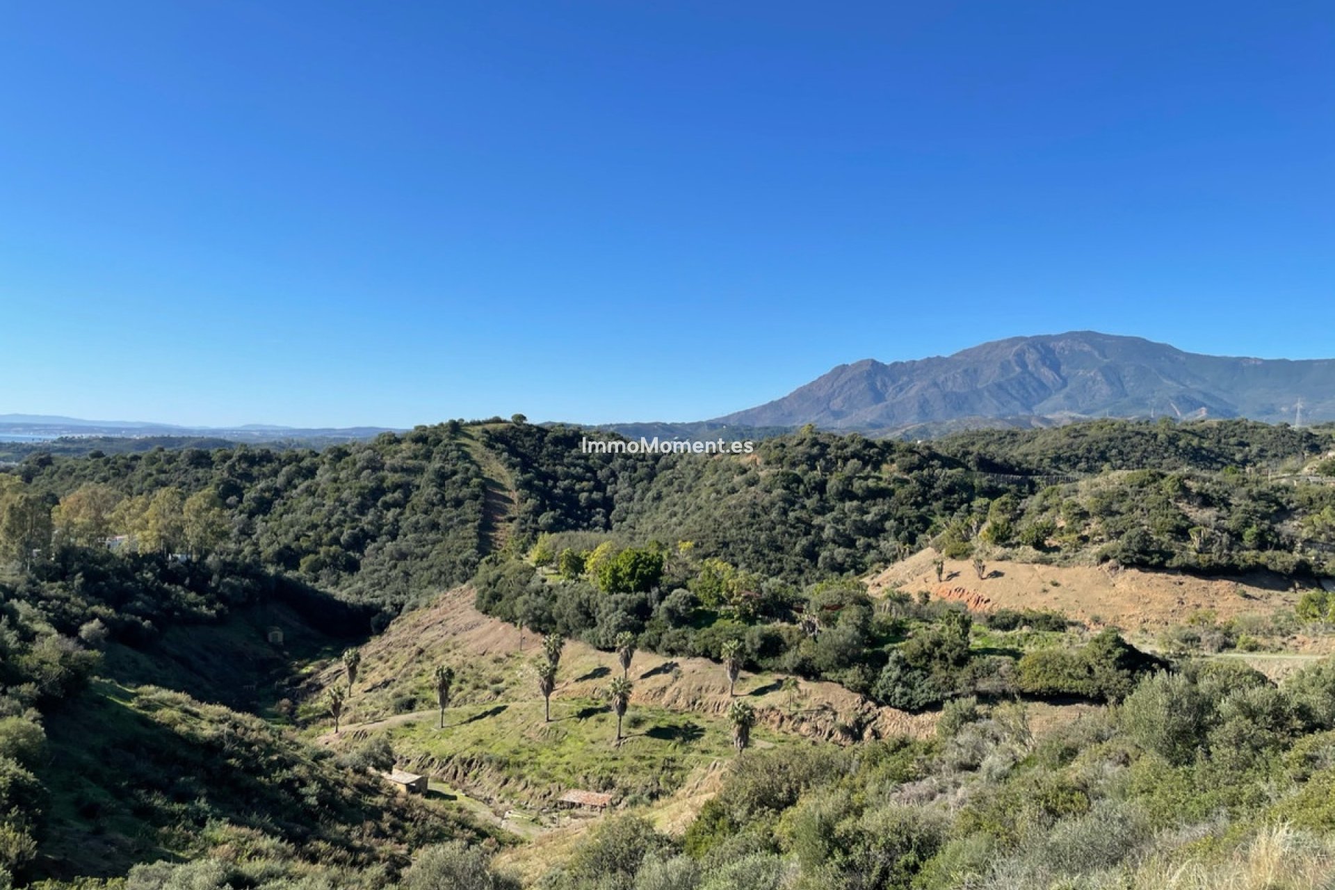 Reventa - Parcela - Estepona  - Estepona Centro