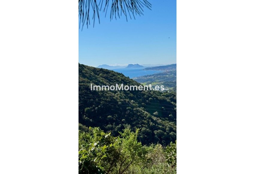 Reventa - Parcela - Estepona  - Estepona Centro