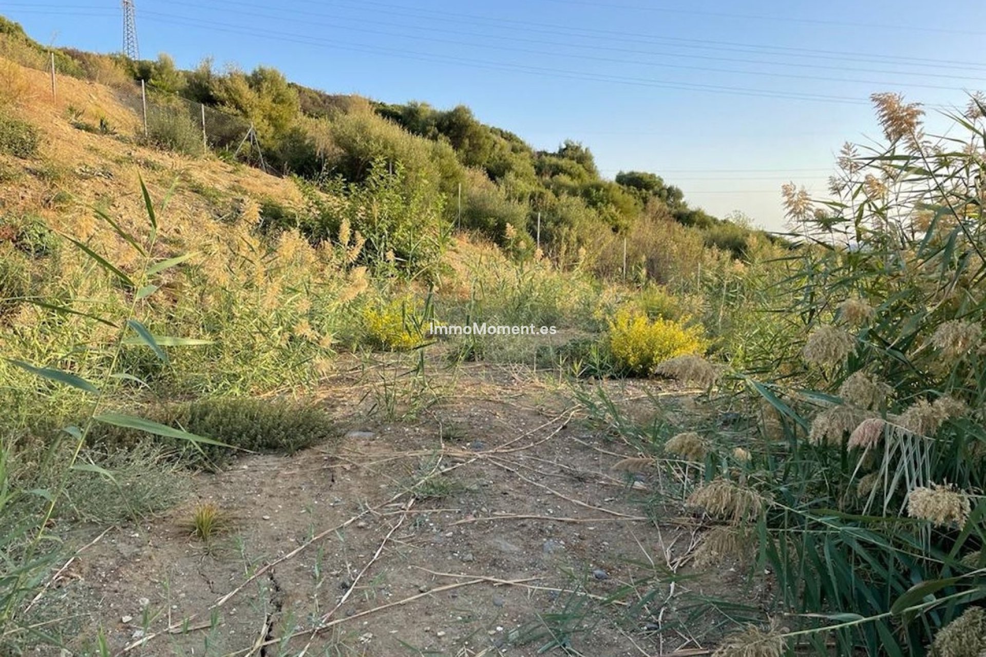 Reventa - Parcela - Estepona  - Estepona Centro