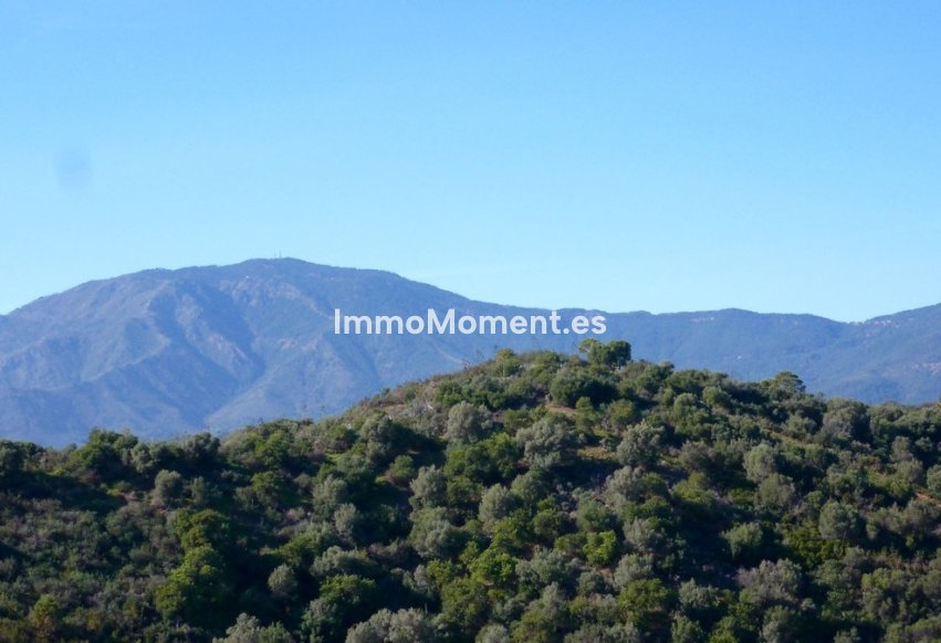 Reventa - Parcela - Estepona  - Selwo