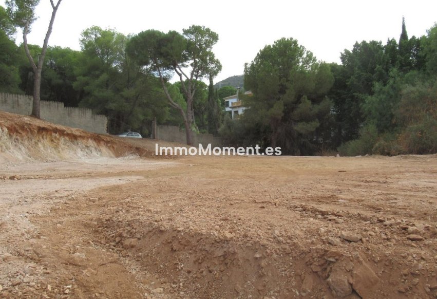 Reventa - Parcela - Interior  - Alhaurín de la Torre