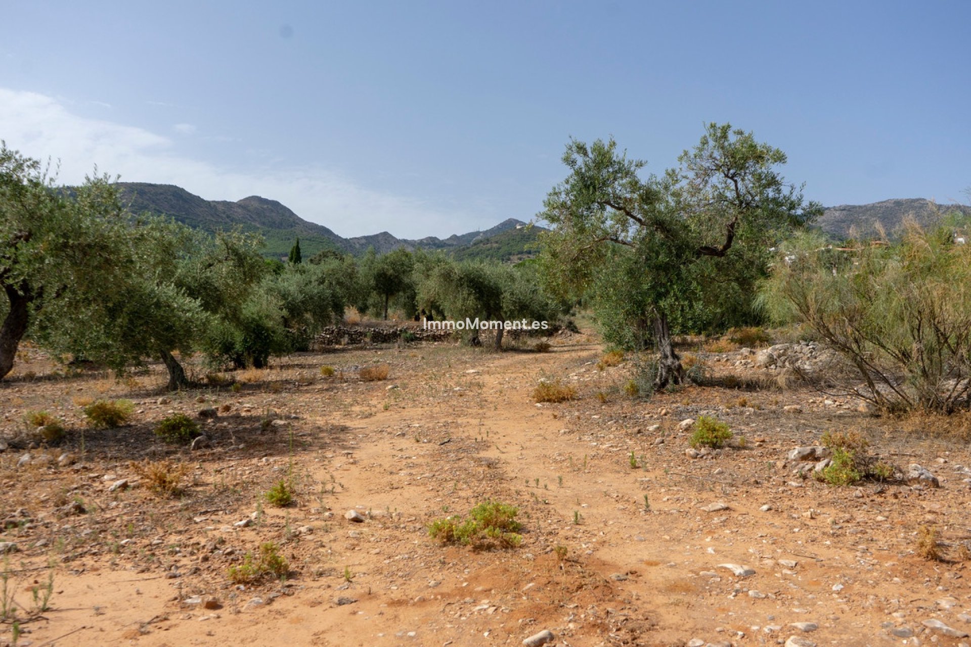 Reventa - Parcela - Interior  - Alhaurín de la Torre