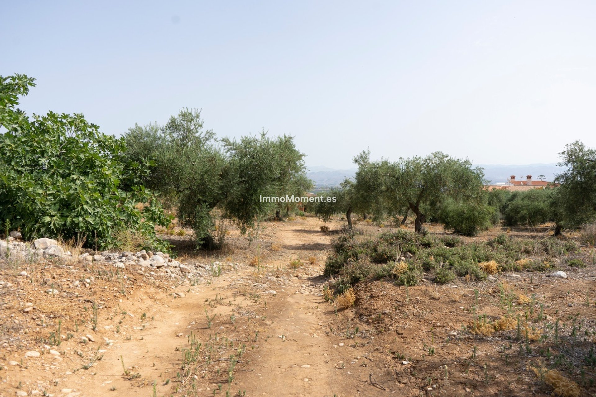 Reventa - Parcela - Interior  - Alhaurín de la Torre