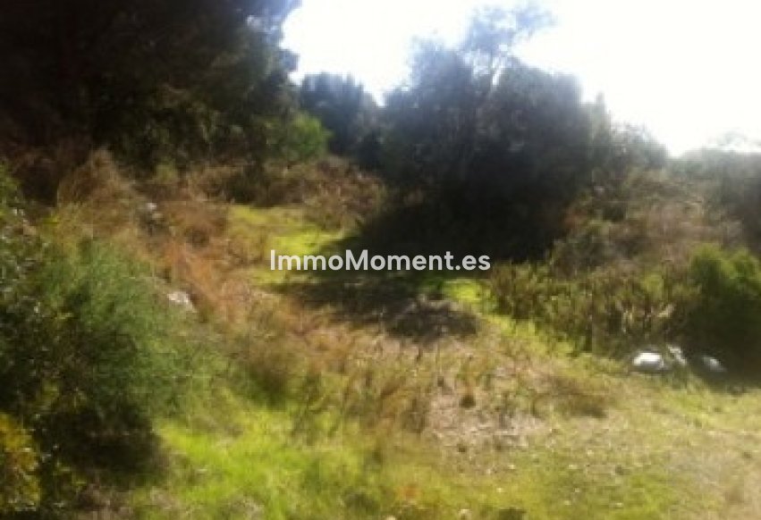 Reventa - Parcela - Marbella - Elviria