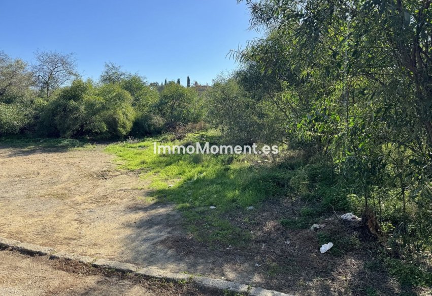 Reventa - Parcela - Marbella - Elviria