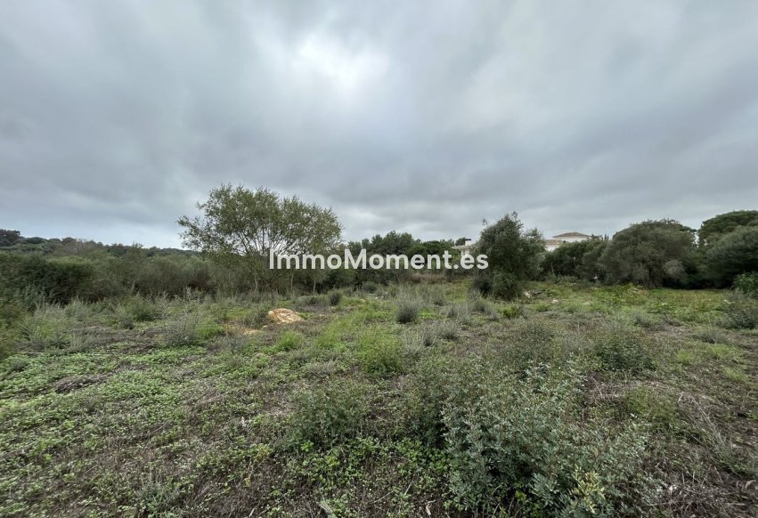 Reventa - Parcela - Sotogrande - Sotogrande Alto