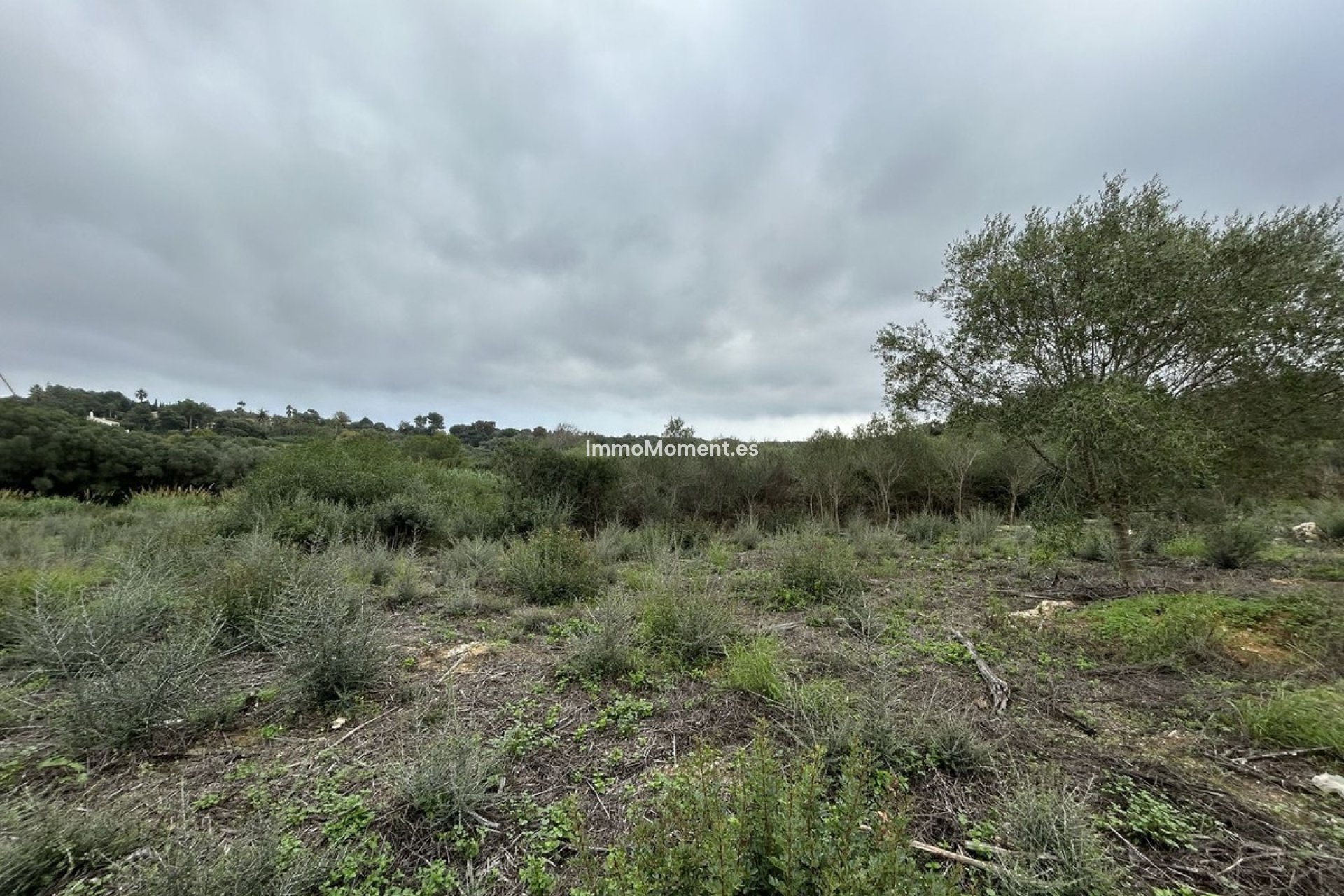 Reventa - Parcela - Sotogrande - Sotogrande Alto