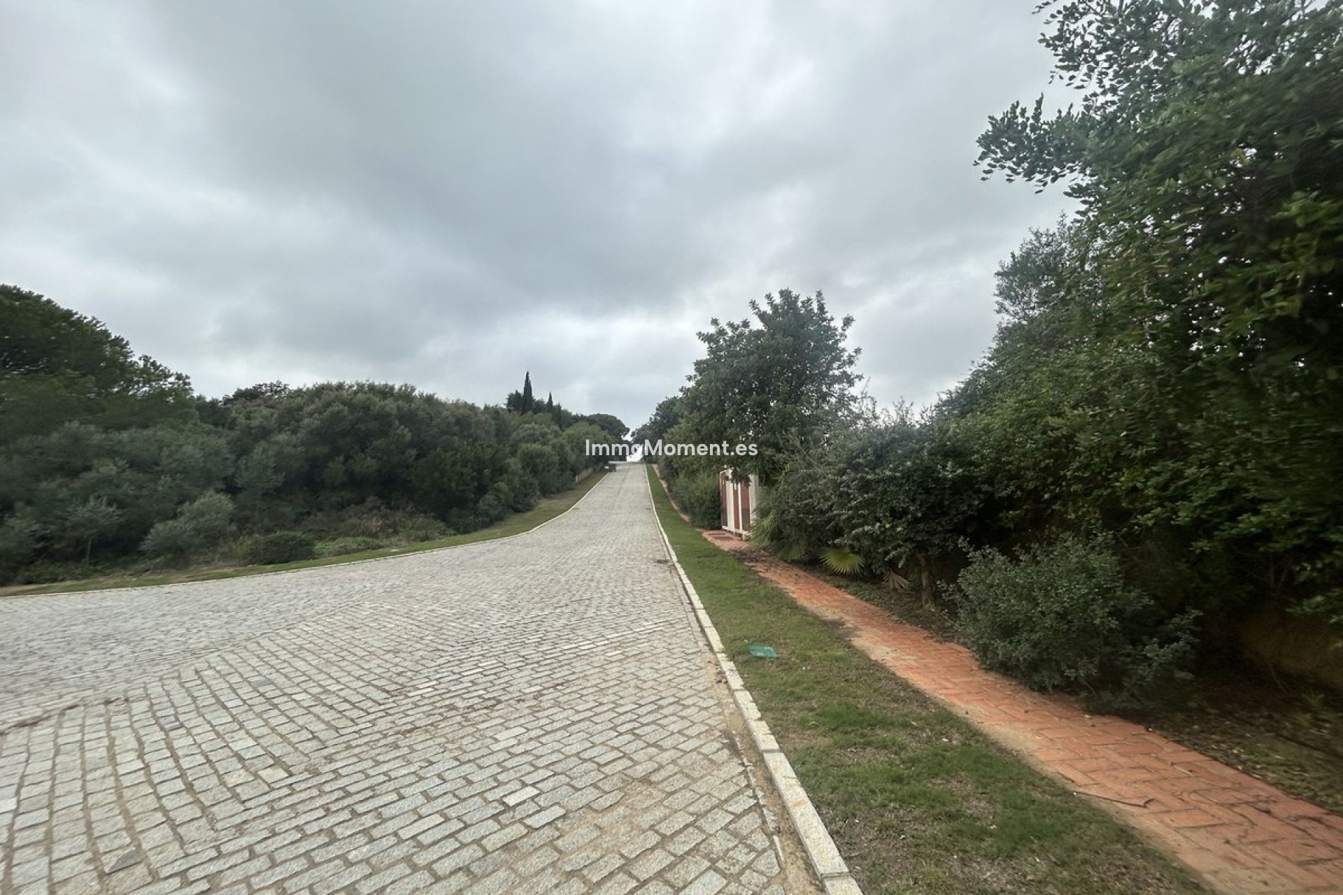 Reventa - Parcela - Sotogrande - Sotogrande Alto