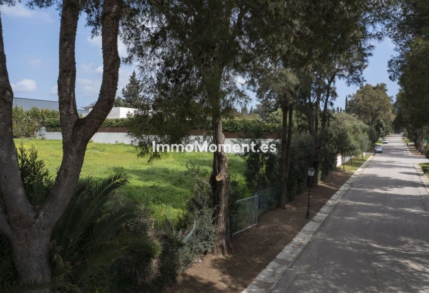 Reventa - Parcela - Sotogrande
