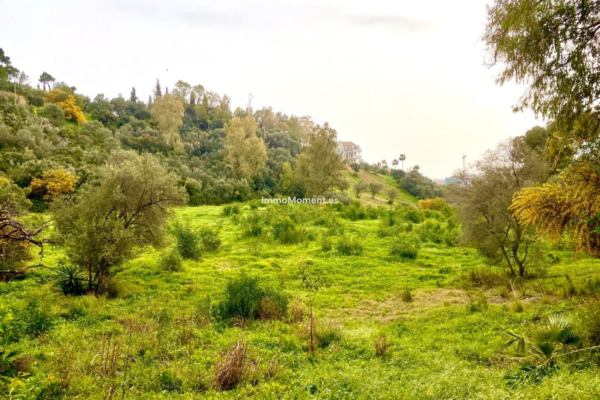 Reventa - Terreno - Benahavís - Benahavís Centro