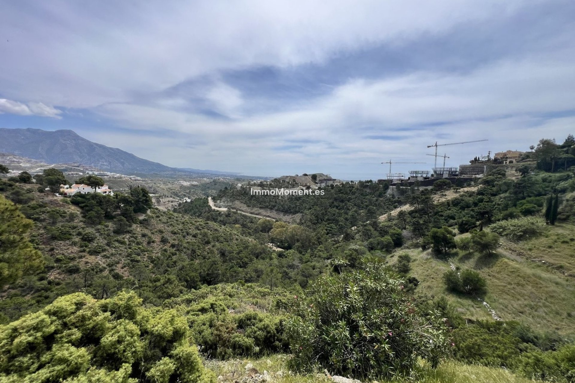 Reventa - Terreno - Benahavís - El Madroñal