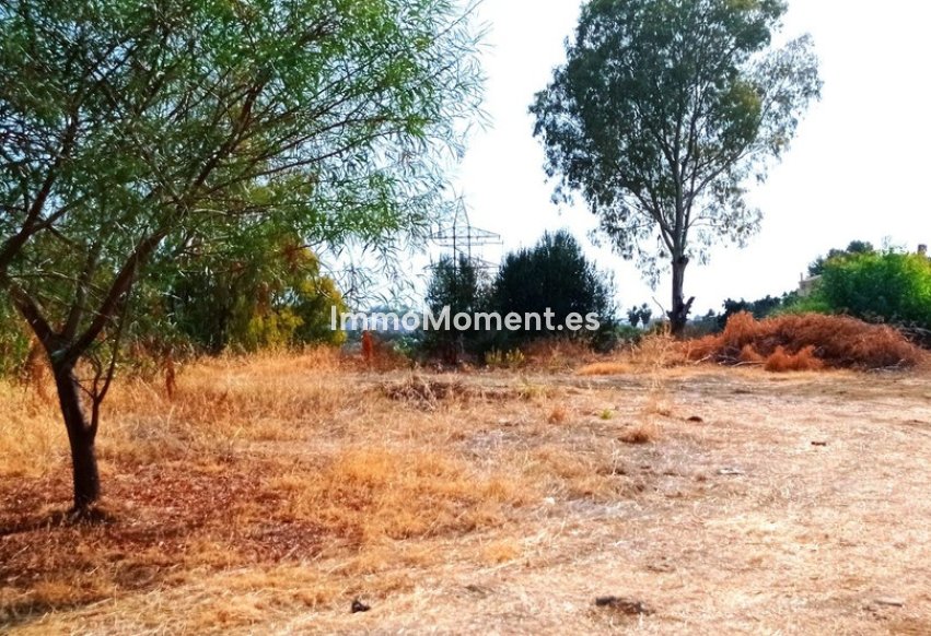 Reventa - Terreno - Benahavís - La Quinta