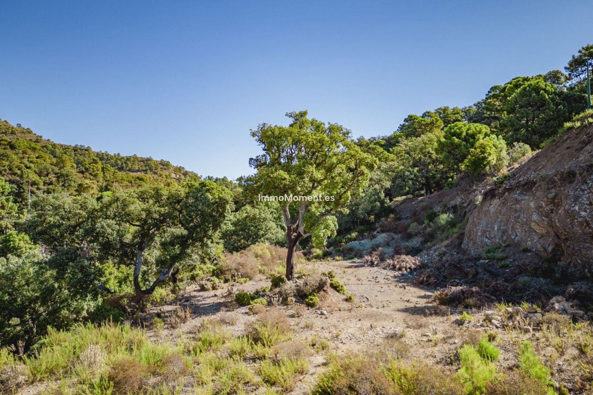 Reventa - Terreno - Benahavís - La Zagaleta