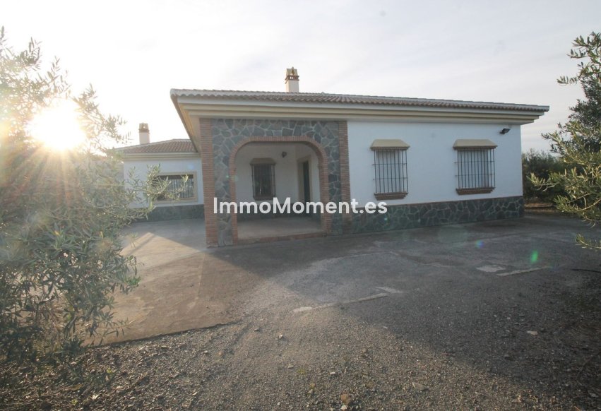 Reventa - Terreno - Interior  - Alora