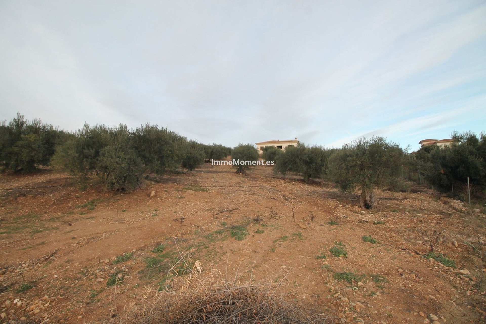 Reventa - Terreno - Interior  - Alora