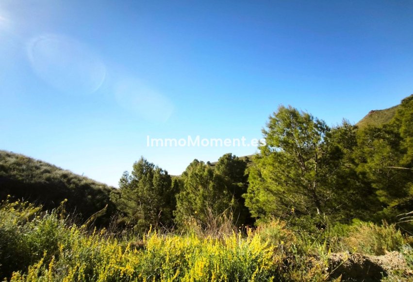 Reventa - Terreno - Lorca - Lorca Centro