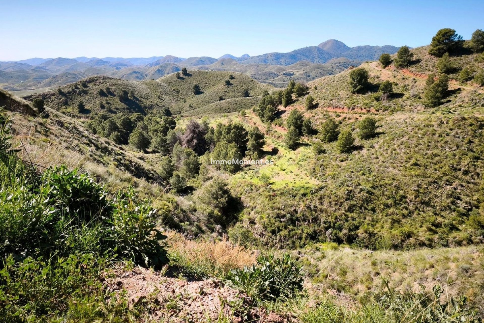 Reventa - Terreno - Lorca - Lorca Centro