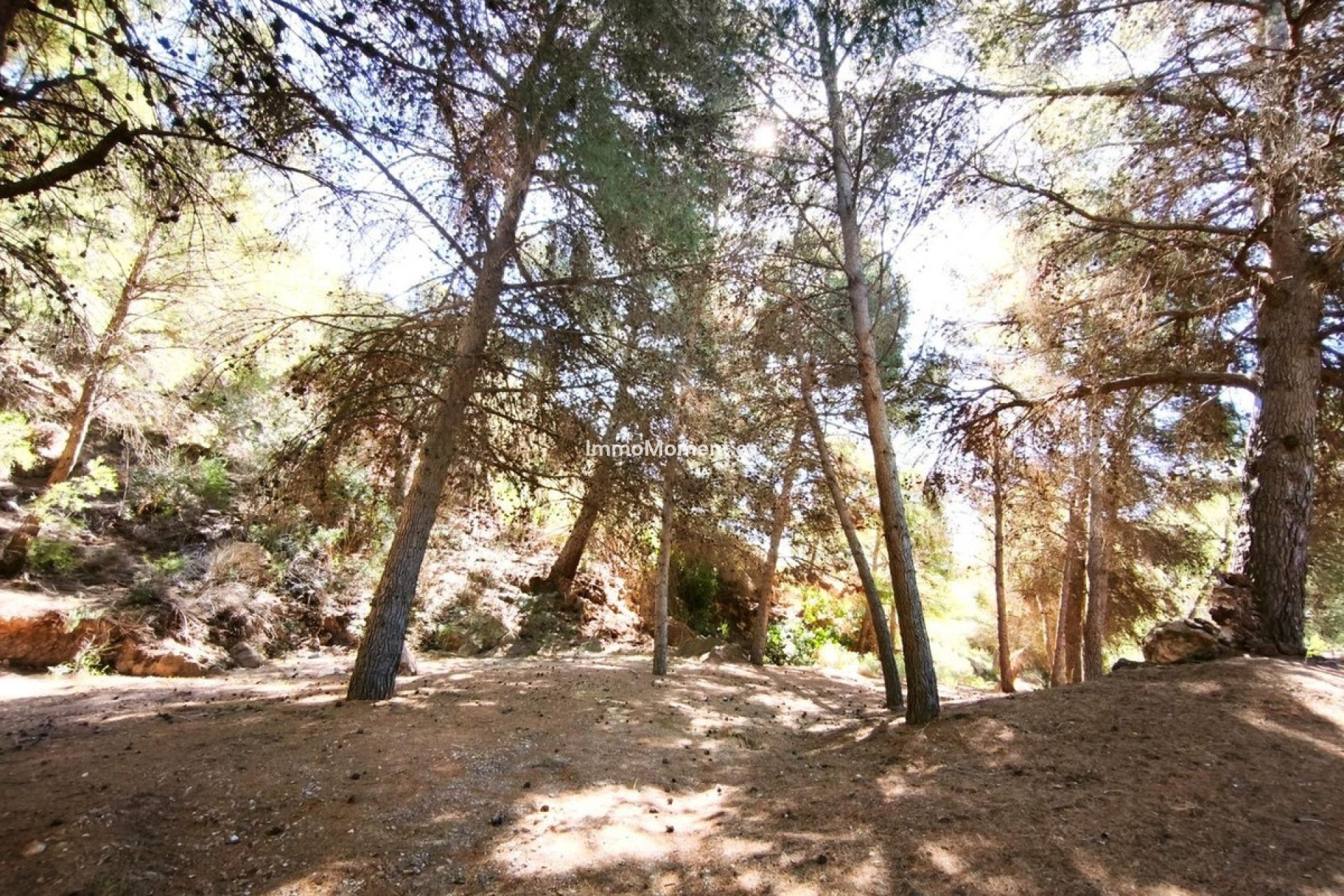 Reventa - Terreno - Lorca - Lorca Centro