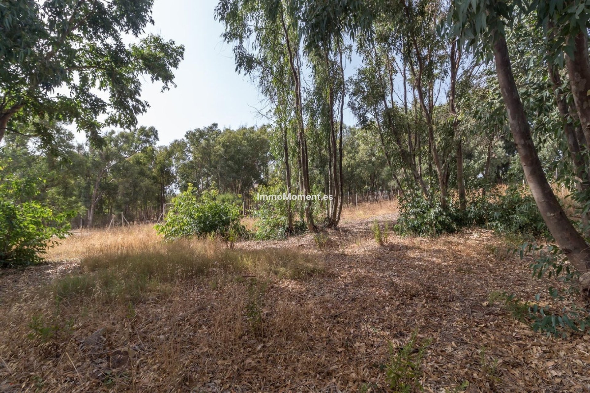 Reventa - Terreno - Manilva