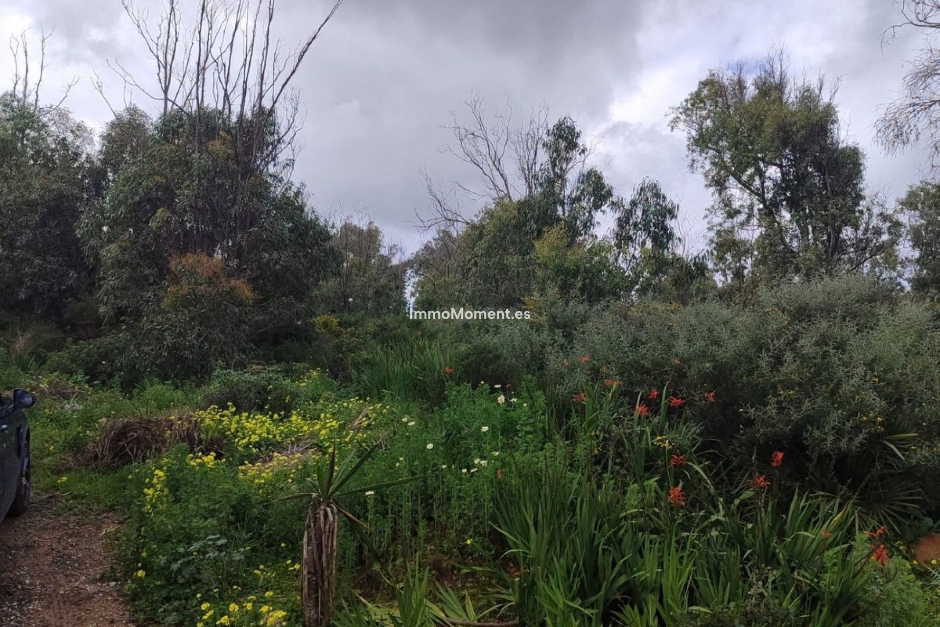 Reventa - Terreno - Manilva