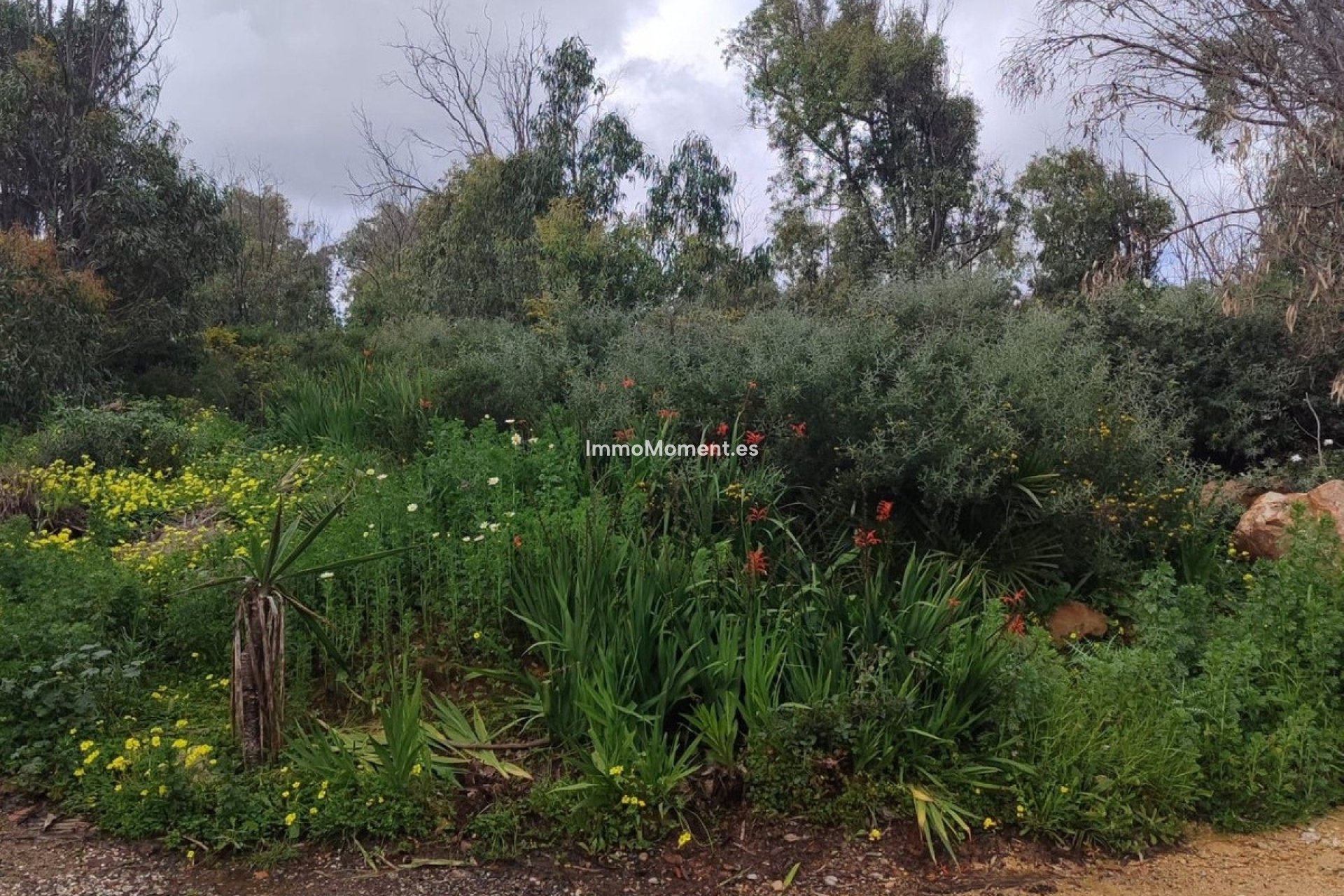 Reventa - Terreno - Manilva