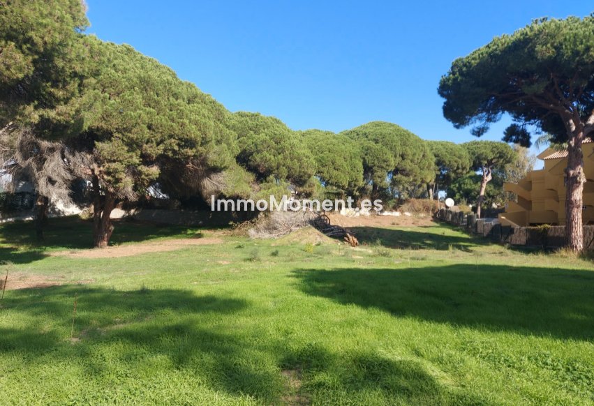 Reventa - Terreno - Marbella - Elviria